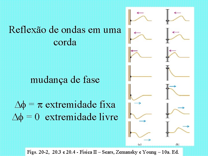 Reflexão de ondas em uma corda mudança de fase Df = extremidade fixa Df