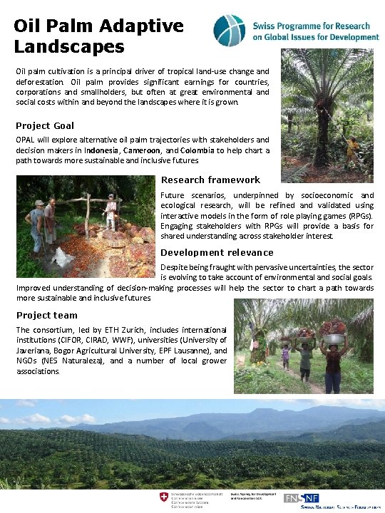 Oil Palm Adaptive Landscapes Oil palm cultivation is a principal driver of tropical land-use