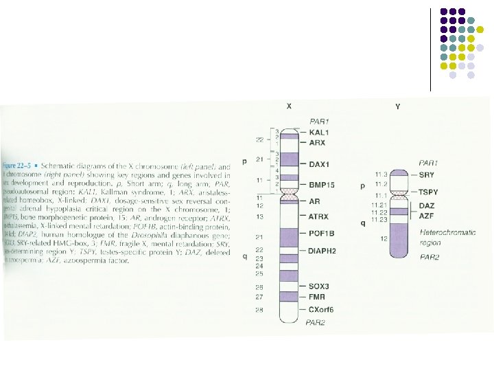 l Fig 22 -5 