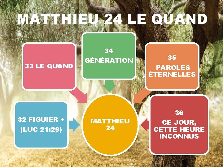 MATTHIEU 24 LE QUAND 33 LE QUAND 32 FIGUIER + (LUC 21: 29) 34