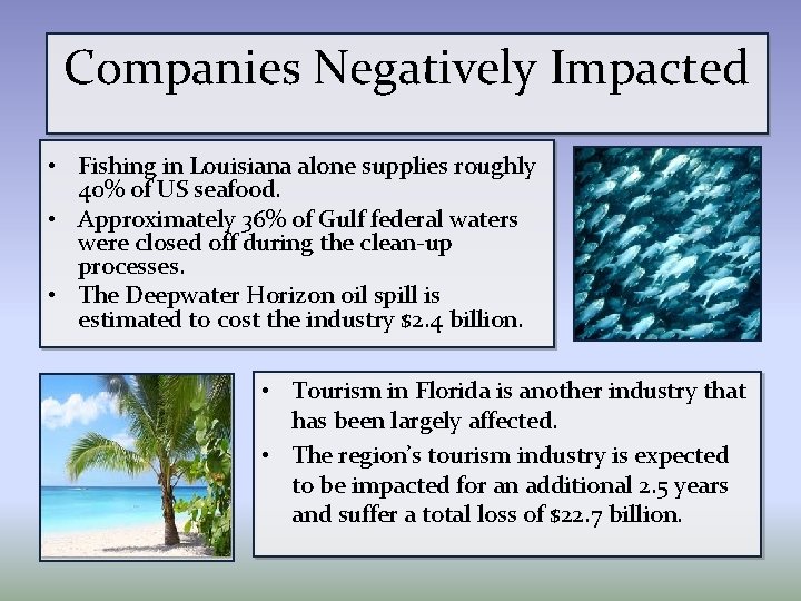 Companies Negatively Impacted • Fishing in Louisiana alone supplies roughly 40% of US seafood.