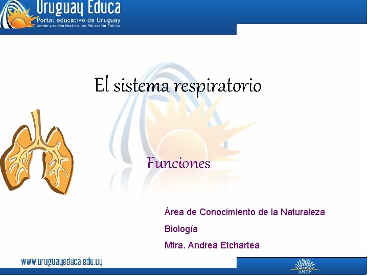 El sistema respiratorio Funciones Área de Conocimiento de la Naturaleza Biología Mtra. Andrea Etchartea