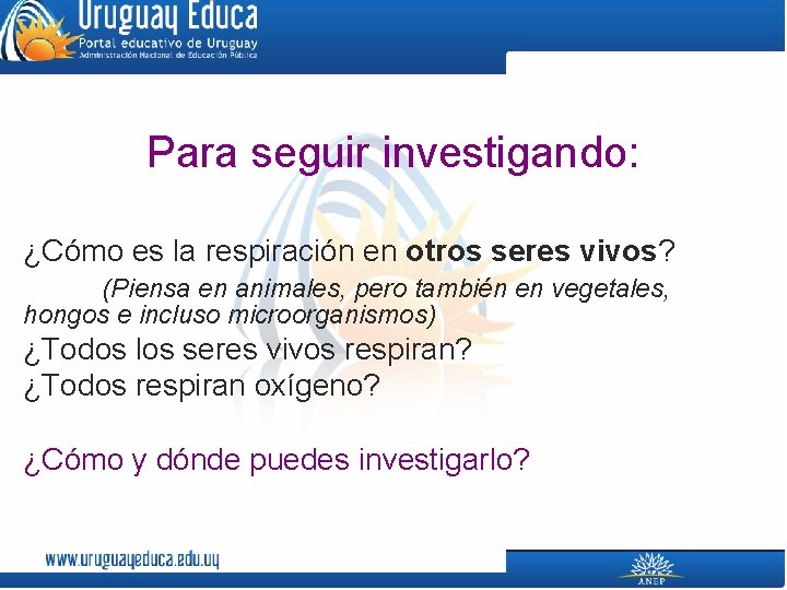 Para seguir investigando: ¿Cómo es la respiración en otros seres vivos? (Piensa en animales,