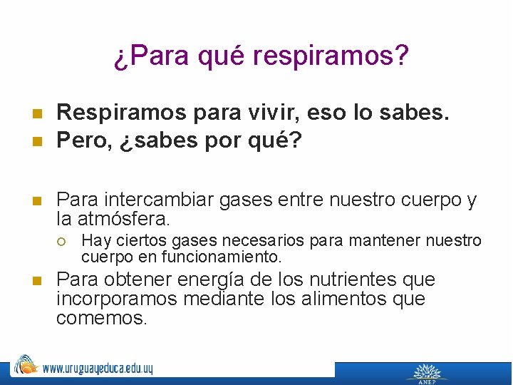 ¿Para qué respiramos? n n n Respiramos para vivir, eso lo sabes. Pero, ¿sabes