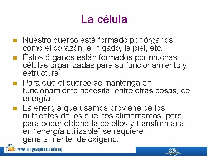 La célula n n Nuestro cuerpo está formado por órganos, como el corazón, el