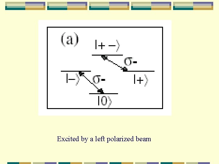 Excited by a left polarized beam 