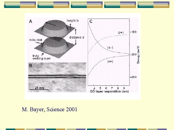 M. Bayer, Science 2001 