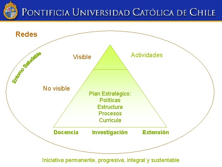 Redes Actividades Visible No visible Docencia Plan Estratégico: Políticas Estructura Procesos Curricula Investigación Extensión