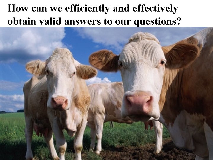 How can we efficiently and effectively obtain valid answers to our questions? 