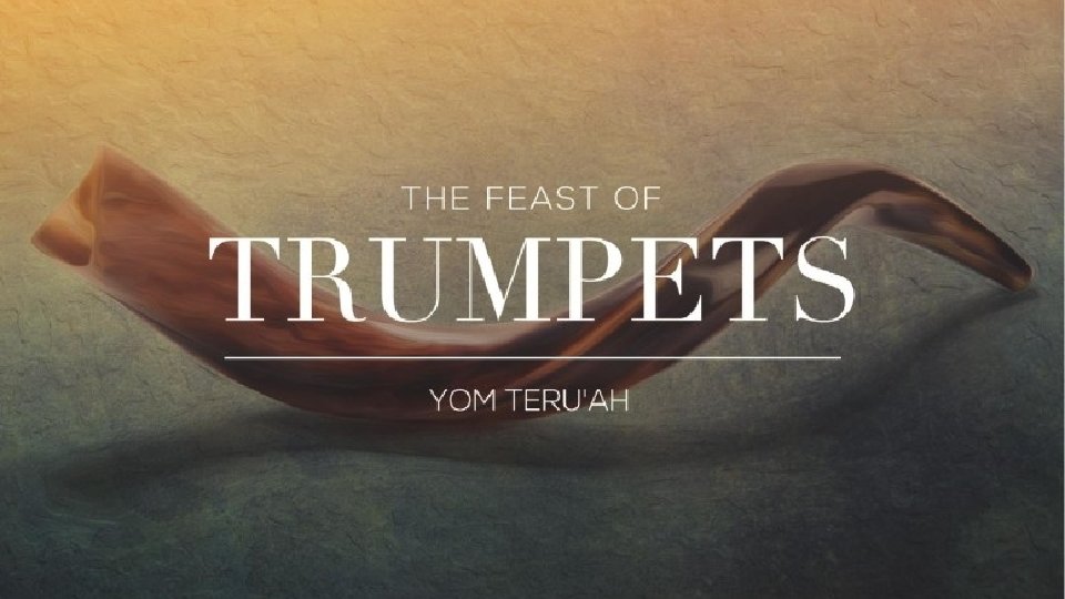 The Life Death of Jesus Christ SHEAF The