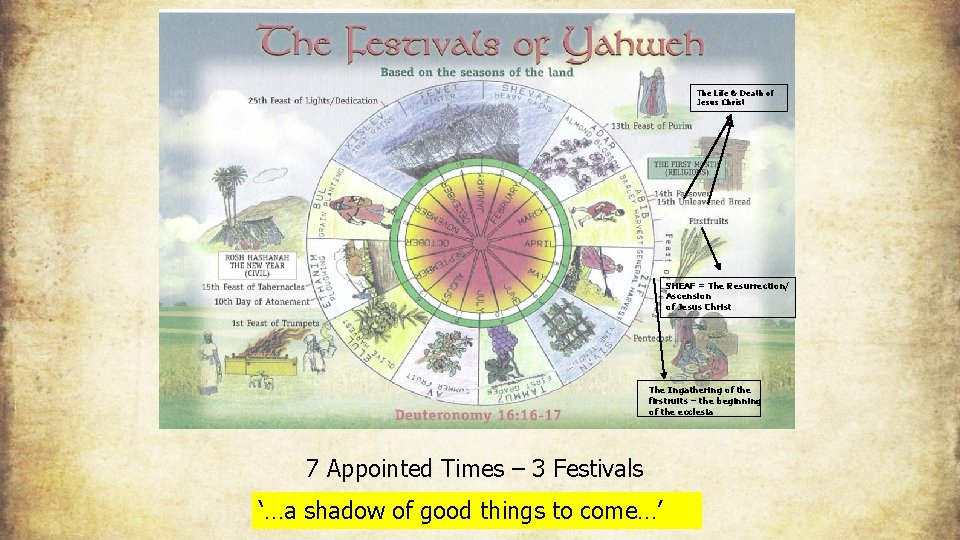 The Life & Death of Jesus Christ SHEAF = The Resurrection/ Ascension of Jesus