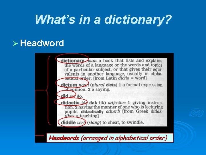What’s in a dictionary? Ø Headword What’s in a dictionary? Ø Headword