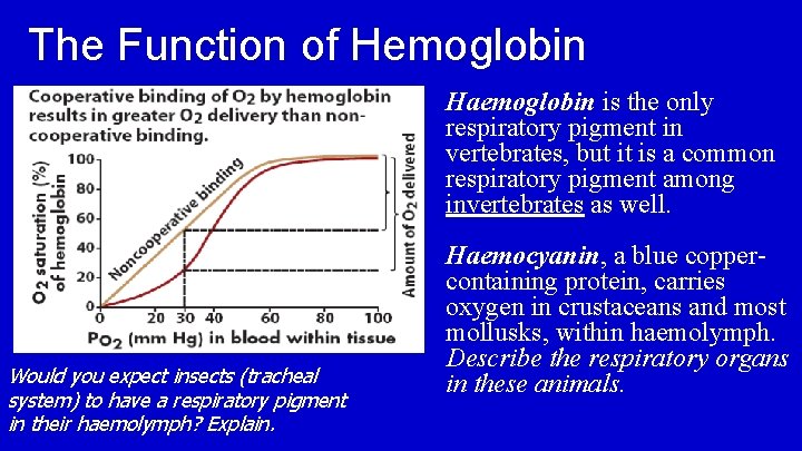 The Function of Hemoglobin Haemoglobin is the only respiratory pigment in vertebrates, but it