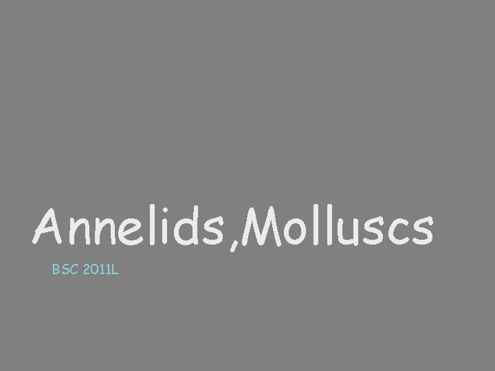 Annelids, Molluscs BSC 2011 L 