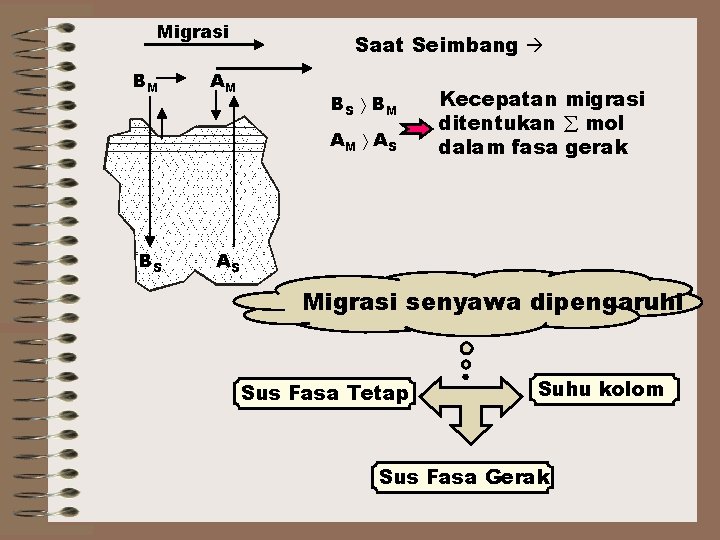 Migrasi BM AM Saat Seimbang BS B M AM A S BS Kecepatan migrasi