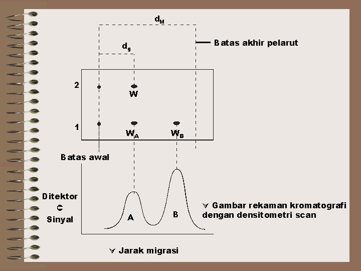 d. M Batas akhir pelarut dg 2 W 1 WA WB Batas awal Ditektor