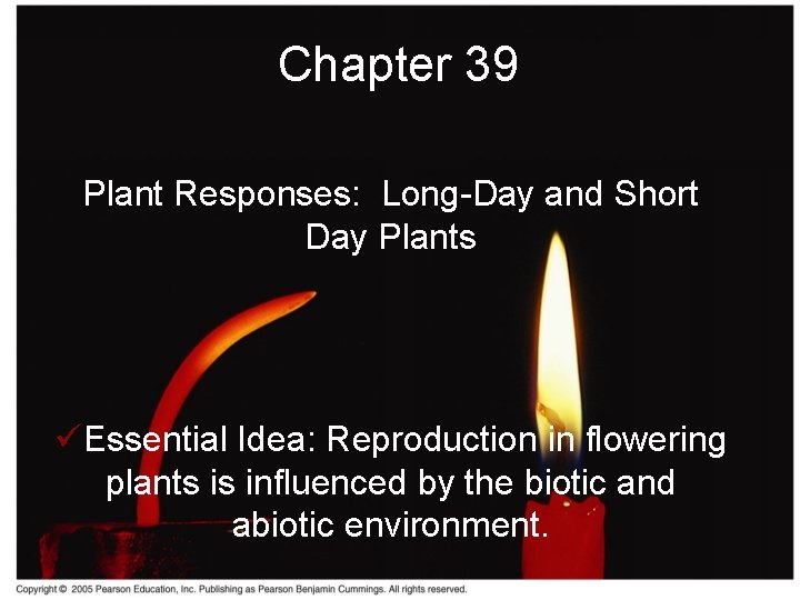 Chapter 39 Plant Responses: Long-Day and Short Day Plants üEssential Idea: Reproduction in flowering