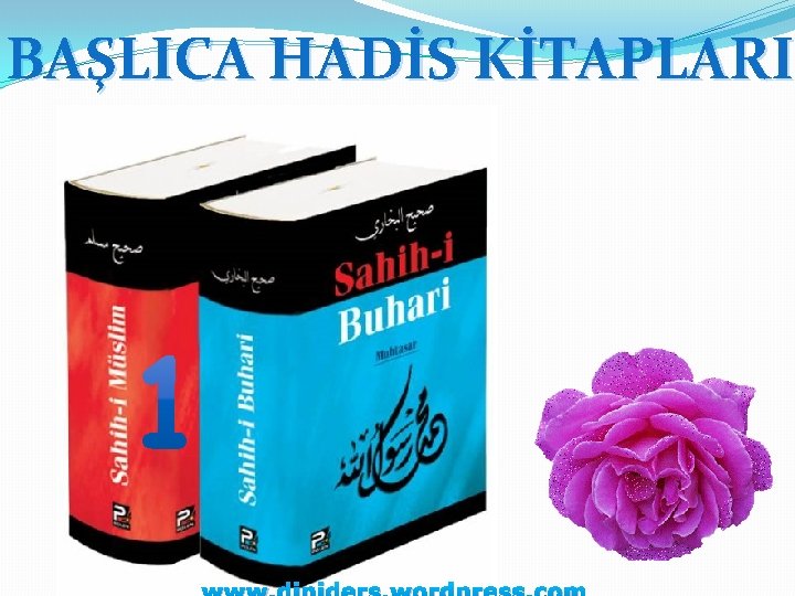 BAŞLICA HADİS KİTAPLARI www. diniders. wordpress. com 