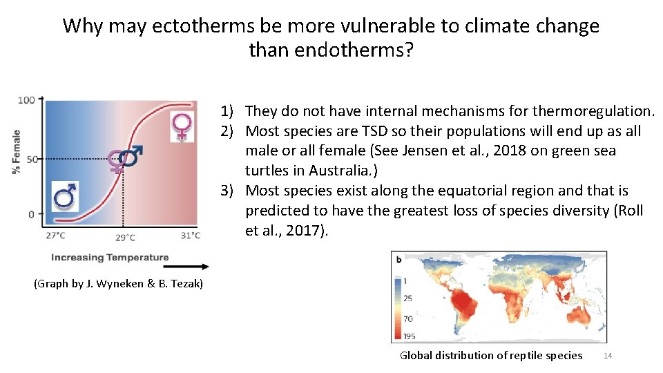 Why may ectotherms be more vulnerable to climate change than endotherms? 1) They do