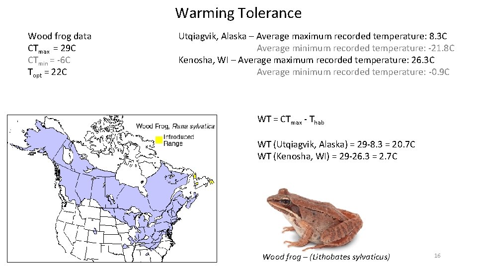 Warming Tolerance Wood frog data CTmax = 29 C CTmin = -6 C Topt