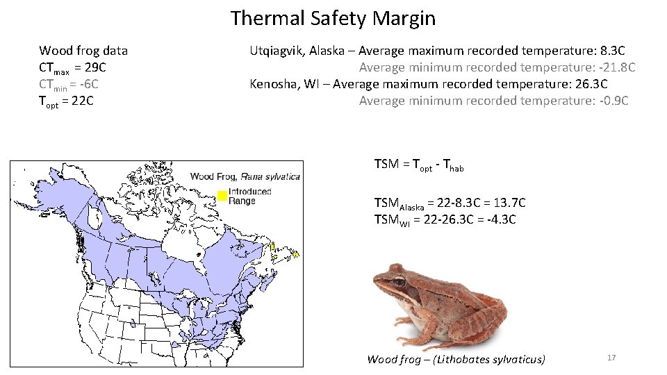 Thermal Safety Margin Wood frog data CTmax = 29 C CTmin = -6 C