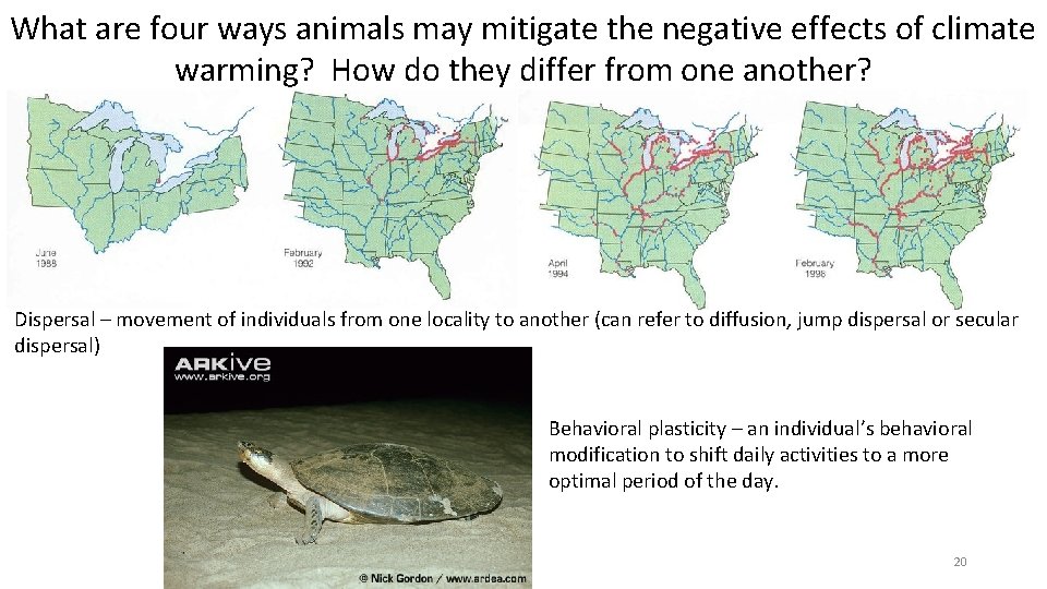 What are four ways animals may mitigate the negative effects of climate warming? How
