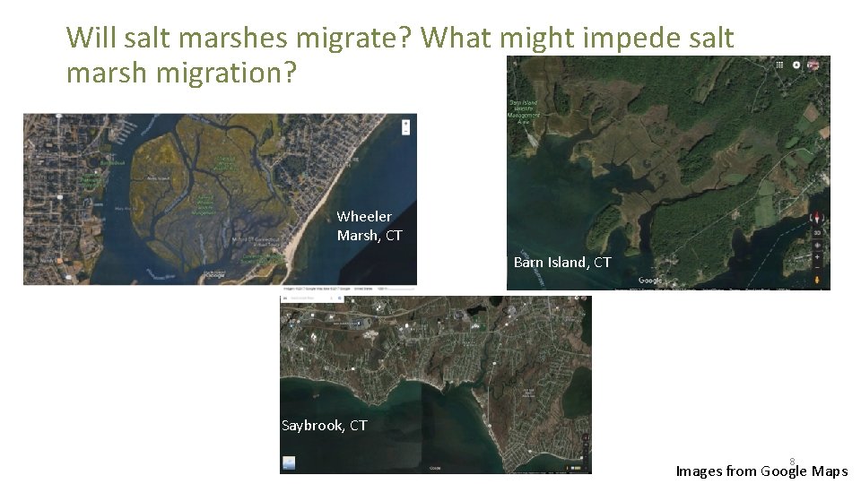 Will salt marshes migrate? What might impede salt marsh migration? Wheeler Marsh, CT Barn