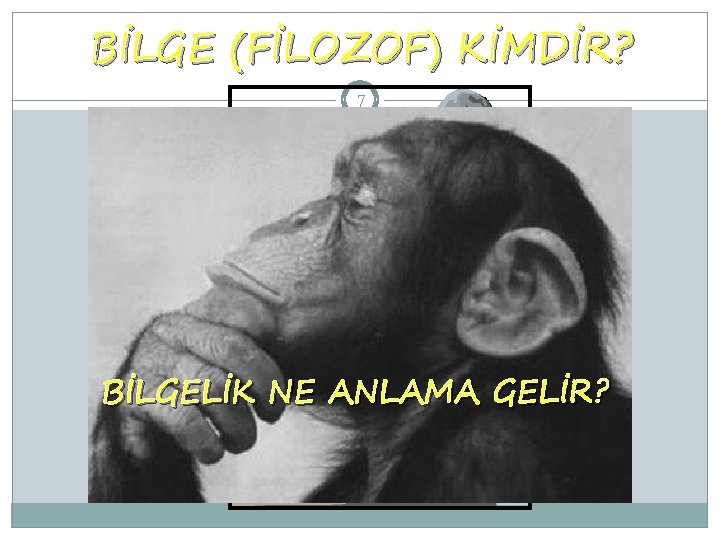 BİLGE (FİLOZOF) KİMDİR? 7 BİLGELİK NE ANLAMA GELİR? 