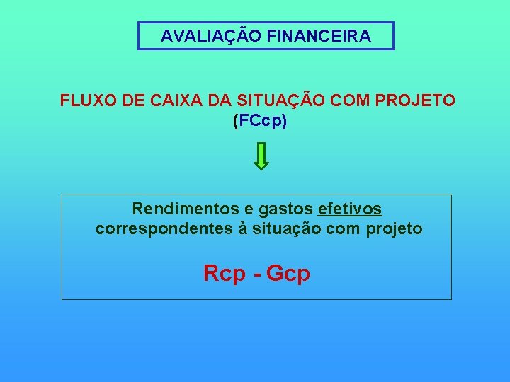 AVALIAÇÃO FINANCEIRA FLUXO DE CAIXA DA SITUAÇÃO COM PROJETO (FCcp) Rendimentos e gastos efetivos