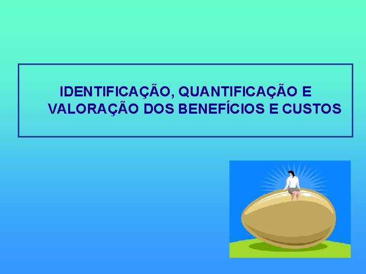 IDENTIFICAÇÃO, QUANTIFICAÇÃO E VALORAÇÃO DOS BENEFÍCIOS E CUSTOS 