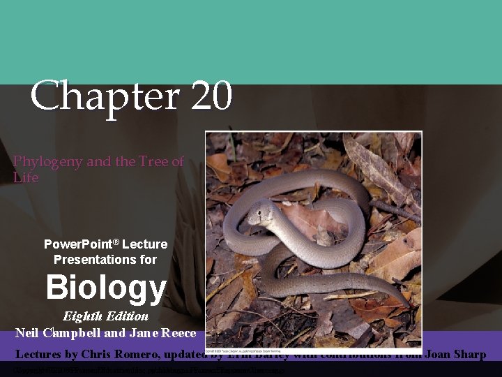Chapter 20 Phylogeny and the Tree of Life { Power. Point® Lecture Presentations for