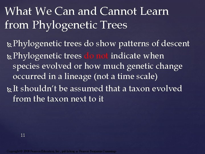 What We Can and Cannot Learn from Phylogenetic Trees Phylogenetic trees do show patterns