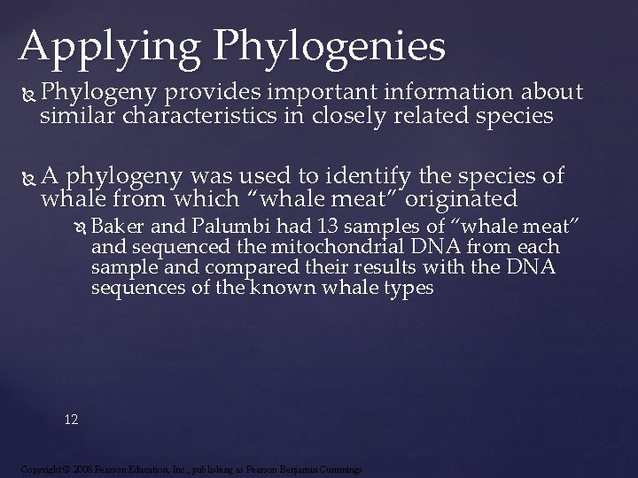 Applying Phylogenies Phylogeny provides important information about similar characteristics in closely related species A