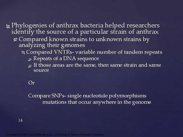  Phylogenies of anthrax bacteria helped researchers identify the source of a particular strain