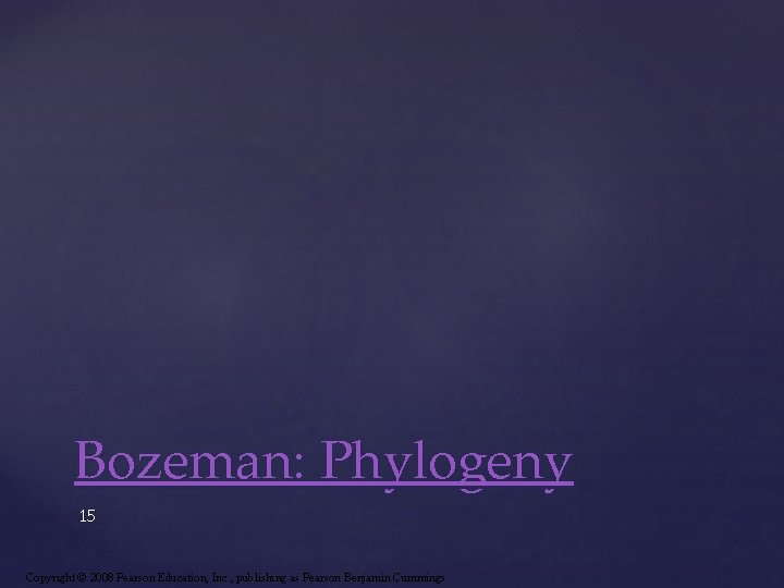 Bozeman: Phylogeny 15 Copyright © 2008 Pearson Education, Inc. , publishing as Pearson Benjamin