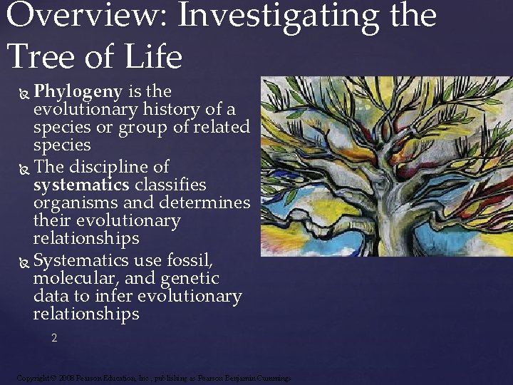 Overview: Investigating the Tree of Life Phylogeny is the evolutionary history of a species