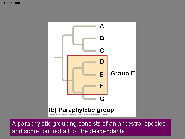 Fig. 20 -10 b A B C D E Group II F G (b)