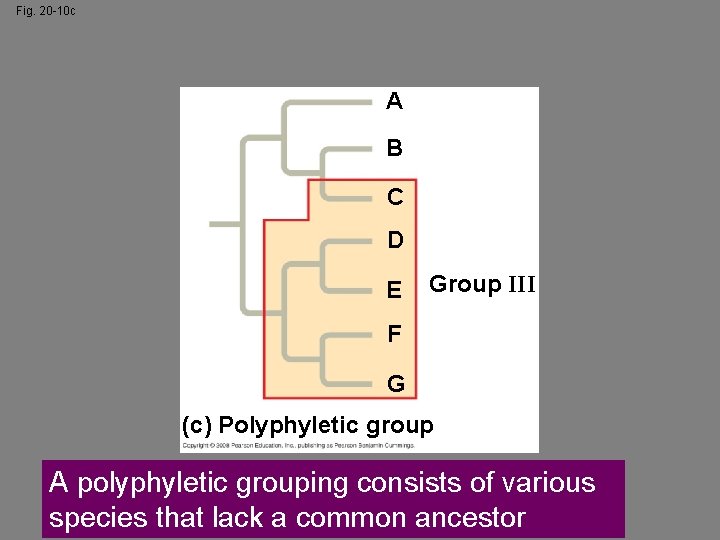 Fig. 20 -10 c A B C D E Group III F G (c)
