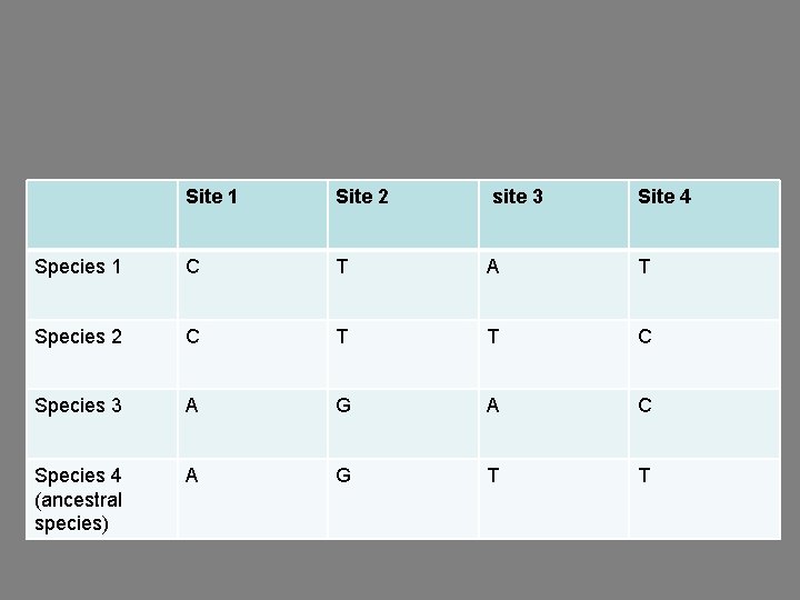 Site 1 Site 2 site 3 Site 4 Species 1 C T A T
