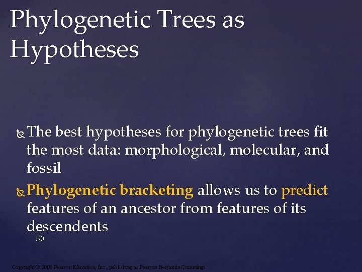 Phylogenetic Trees as Hypotheses The best hypotheses for phylogenetic trees fit the most data: