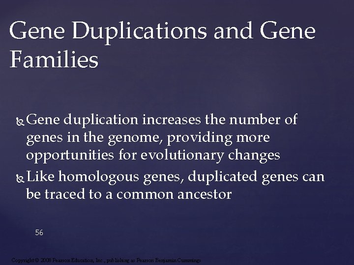 Gene Duplications and Gene Families Gene duplication increases the number of genes in the
