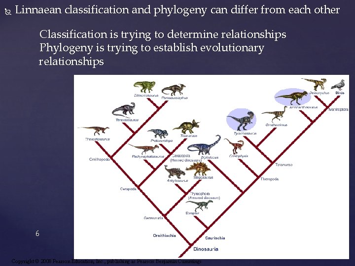  Linnaean classification and phylogeny can differ from each other Classification is trying to