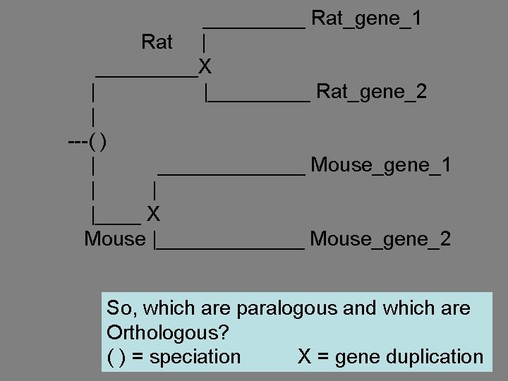 _____ Rat_gene_1 Rat | _____X | |_____ Rat_gene_2 | ---( ) | _______ Mouse_gene_1