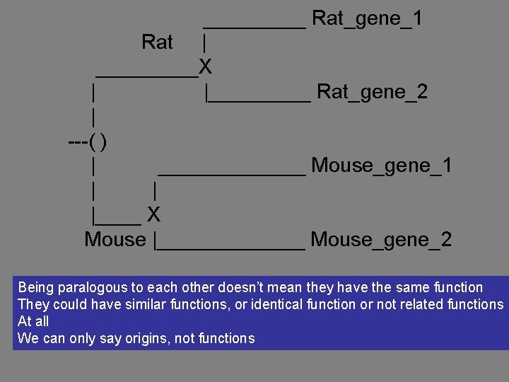 _____ Rat_gene_1 Rat | _____X | |_____ Rat_gene_2 | ---( ) | _______ Mouse_gene_1