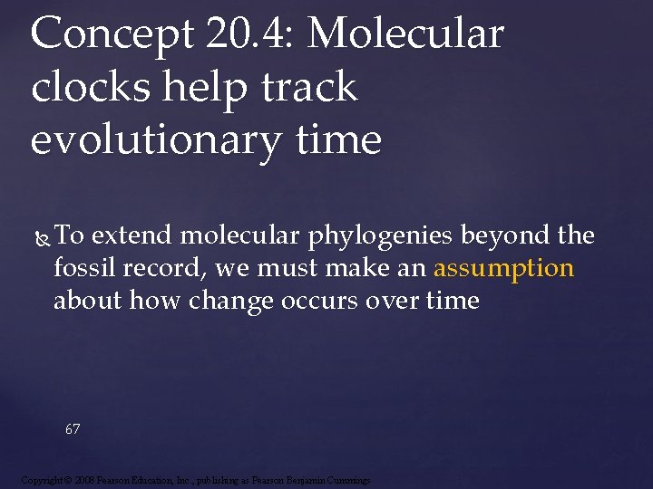 Concept 20. 4: Molecular clocks help track evolutionary time To extend molecular phylogenies beyond