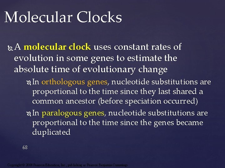 Molecular Clocks A molecular clock uses constant rates of evolution in some genes to