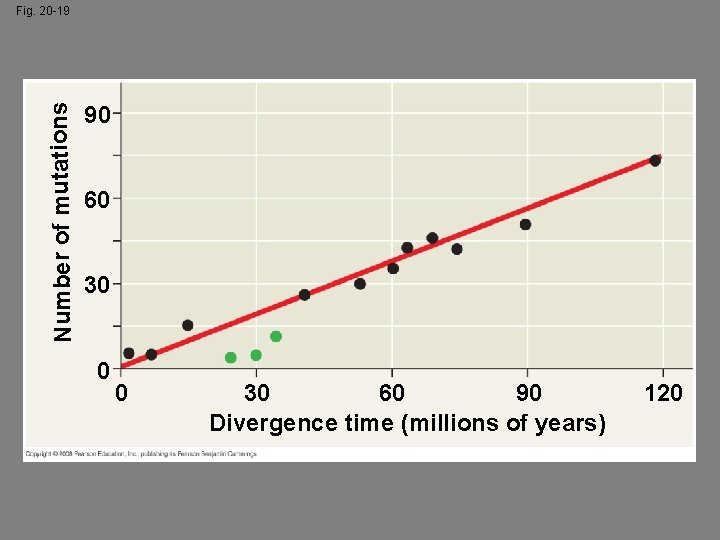 Number of mutations Fig. 20 -19 90 60 30 0 0 30 60 90