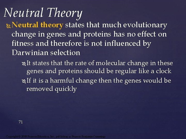 Neutral Theory Neutral theory states that much evolutionary change in genes and proteins has