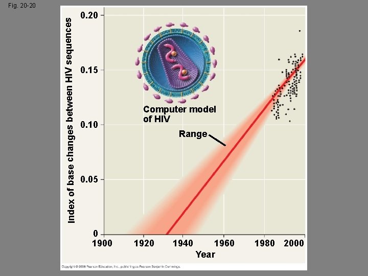 Index of base changes between HIV sequences Fig. 20 -20 0. 15 0. 10
