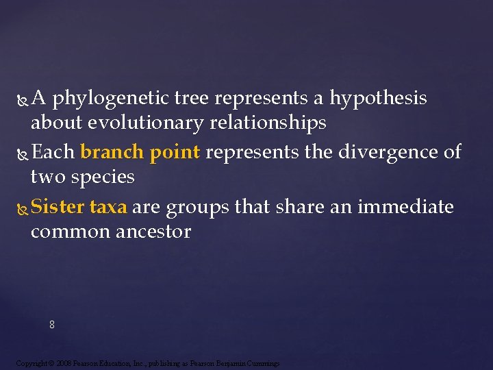 A phylogenetic tree represents a hypothesis about evolutionary relationships Each branch point represents the